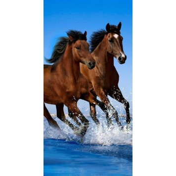 Horses bath towel, beach towel 70*140cm