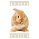 Rabbit Brown s bath towel, beach towel 70x140cm