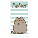 Pusheen Green bath towel, beach towel 70x140cm (Fast Dry)