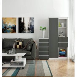 KOMODA CL5 BIAŁA / SZARA