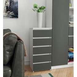 KOMODA CL5 BIAŁA / SZARA