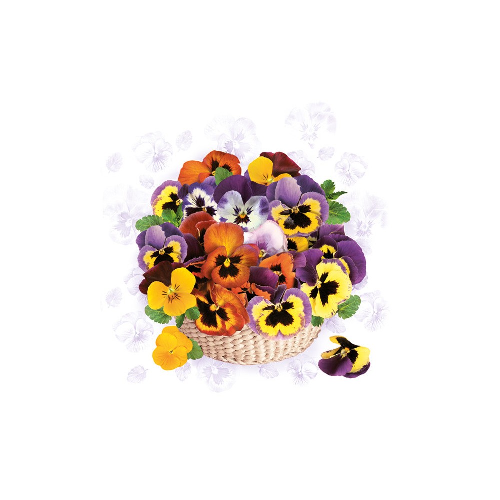 Flower Colourful Pansy Napkin 20 pcs 33x33 cm