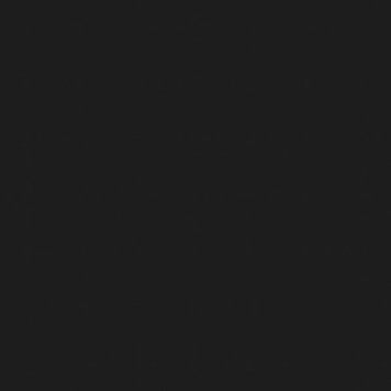 Colour Maki Black napkin, 20 pcs, 25x25 cm