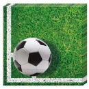 Football Soccer Field napkin 20pcs 33x33 cm
