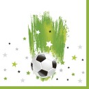 Football With Stars napkin 20 pcs 33x33 cm