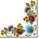 Colour White Border Embroidered napkin set of 20, 33x33 cm