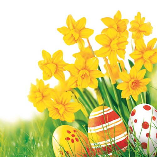 Easter Bunch of Daffodils napkin 20 pcs 25x25 cm