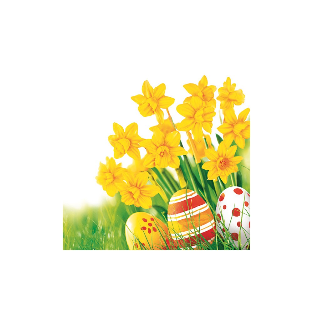 Easter Bunch of Daffodils napkin 20 pcs 33x33 cm
