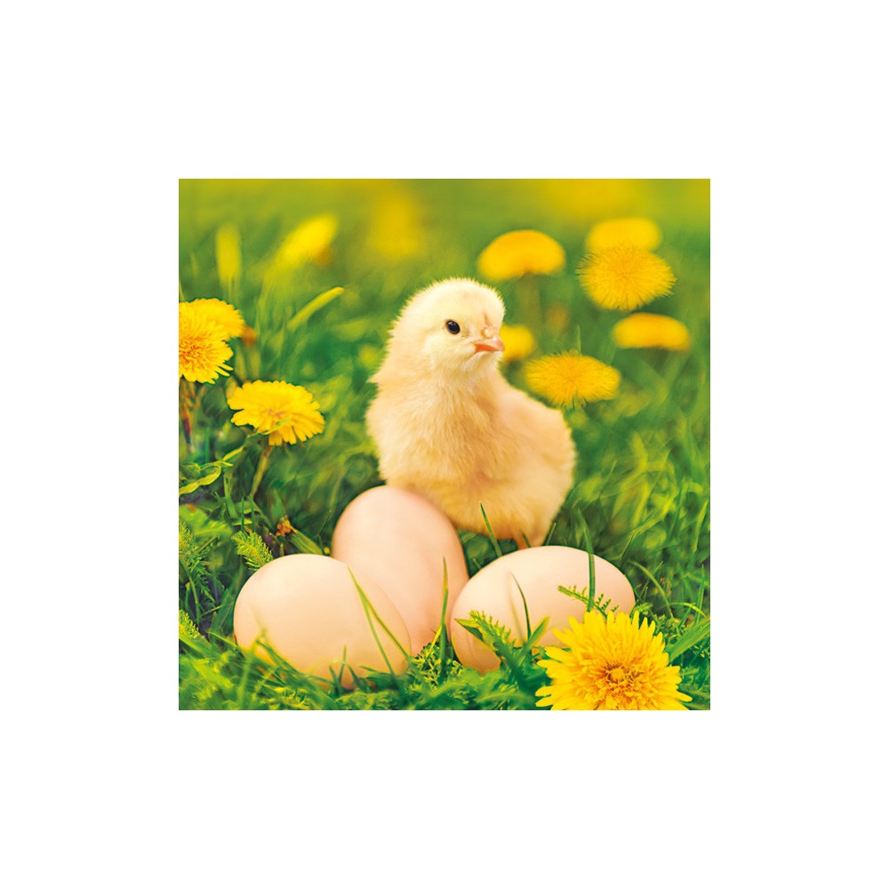 Easter Chicken with Eggs napkin 20 pcs 33x33 cm