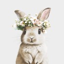 Easter Floral Wreath napkin 20 pcs 33x33 cm