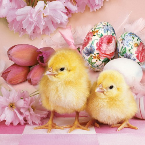 Easter Lovely Chickens napkin 20 pcs 33x33 cm