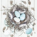 Easter Pastel Blue Natural Nest napkin 20 pcs 33x33 cm