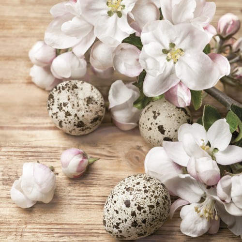 Easter Quail Eggs napkin 20 pcs 33x33 cm