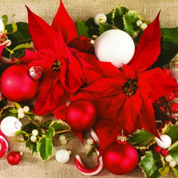 Christmas Poinsettias napkins, pack of 20, 33x33 cm