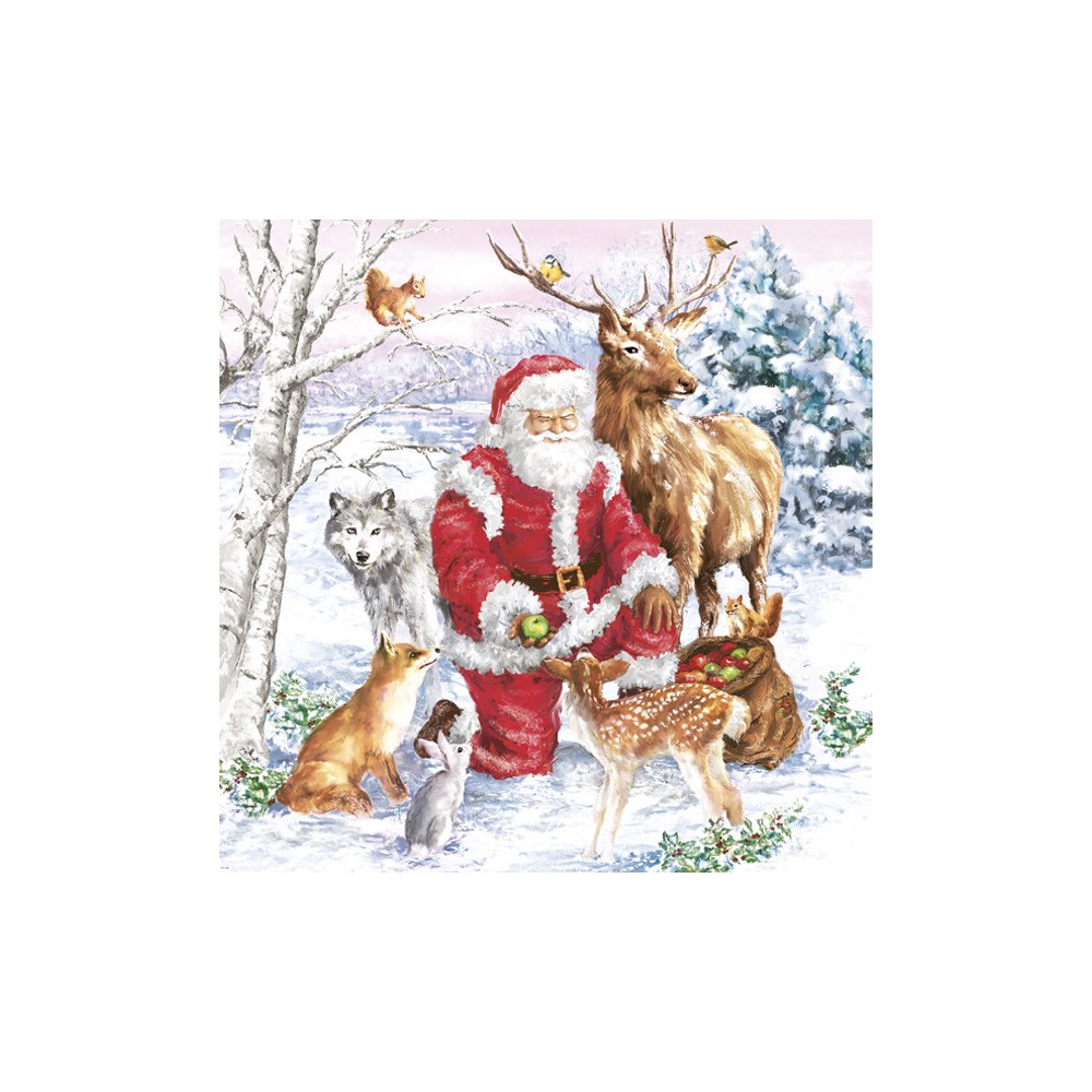 Christmas Santa & Animals napkins, pack of 20, 33x33 cm