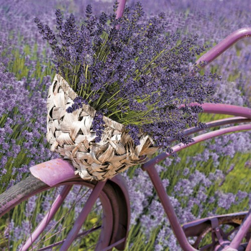 Flower Bicycle Lavender decorative napkin 20 pcs 33x33 cm