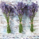 Flower Three Bunches Lavender napkin set, 20 pieces, 33x33 cm