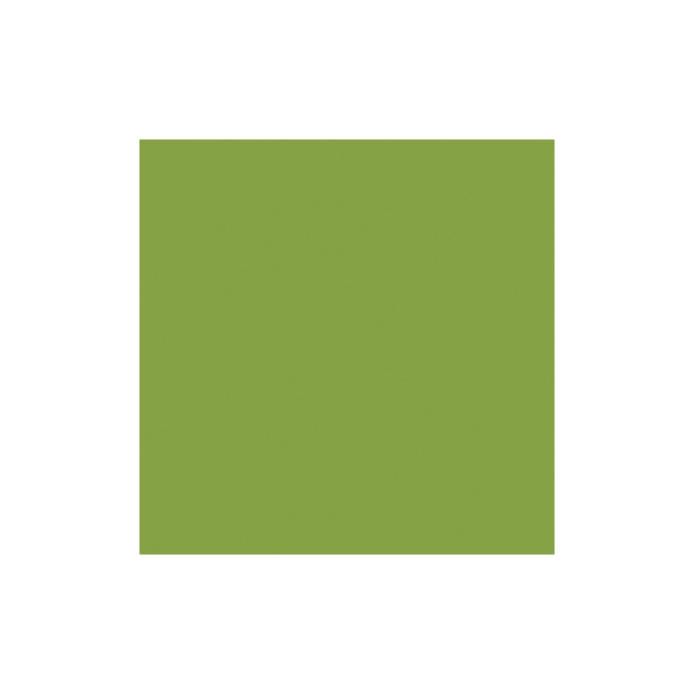 Colour Maki Lime Green Napkin 20 pcs 25x25 cm