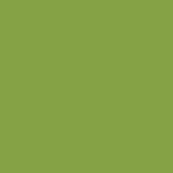 Colour Maki Lime Green Napkin 20 pcs 25x25 cm