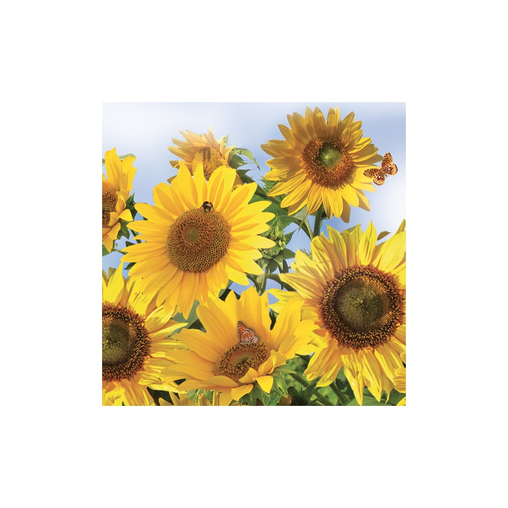 Colour In the Sky Sunflower Napkins 20 pcs 33x33 cm