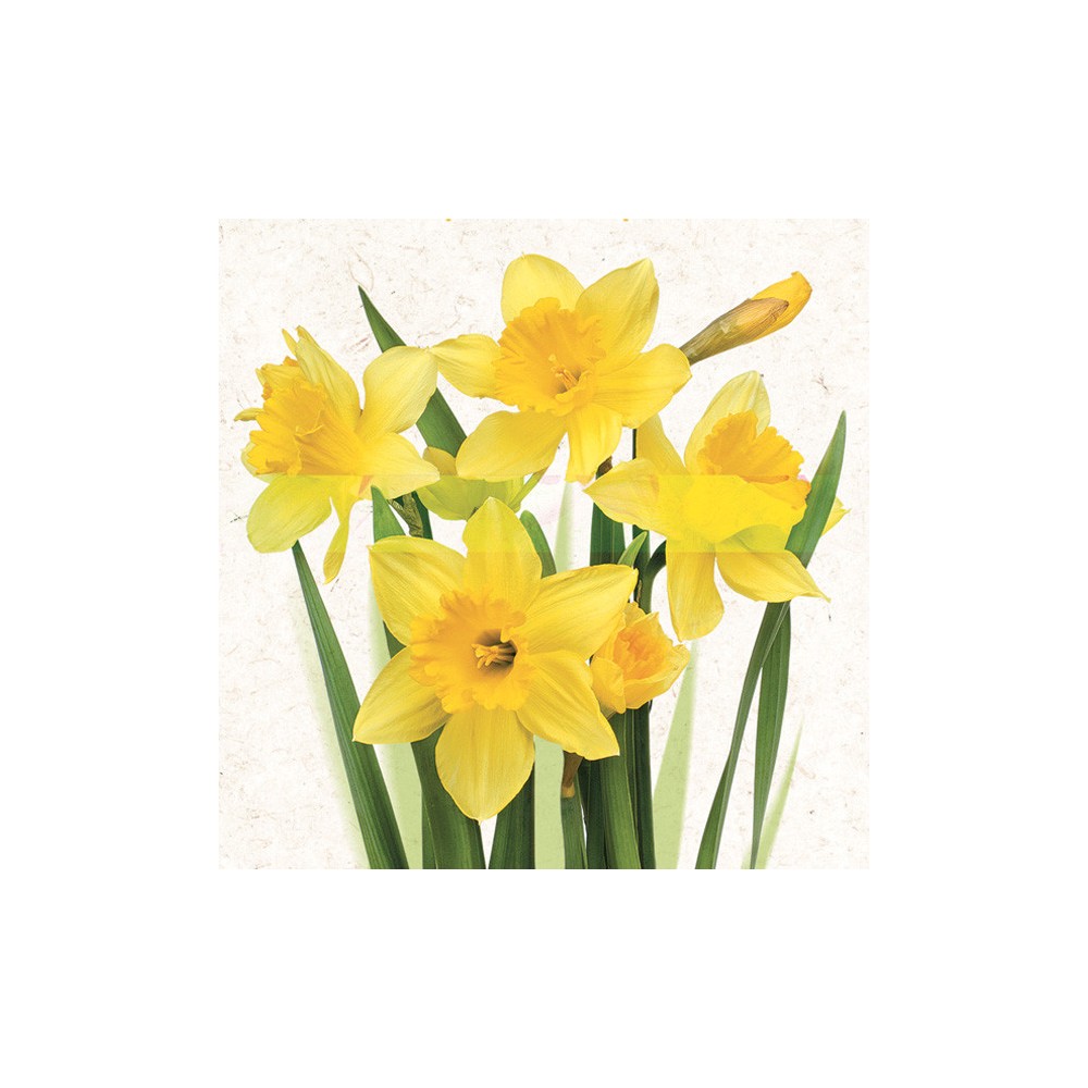 Flower Bunch Daffodil Napkins 20 pcs 33x33 cm