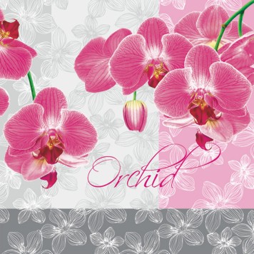 Flower Romantic Orchid napkin 20 pcs 33x33 cm