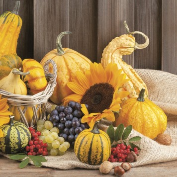 Flower Fruits Autumn napkin 20 pcs 33x33 cm