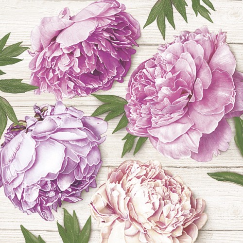 Flower White Wood Peony Napkin 20 pcs 33x33 cm