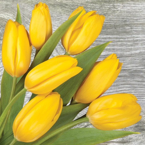 Flower On Wood Yellow tulip napkin 20-pack 33x33 cm