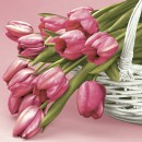 Flower Falling Tulip decorative napkin 20 pcs 33x33 cm
