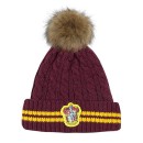 Harry Potter Houses kids' hat 54-56 cm