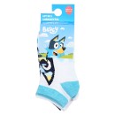 Bluey children's ankle socks 23-34
