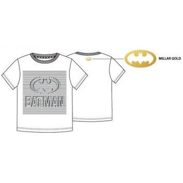 Batman men's t-shirt, top S