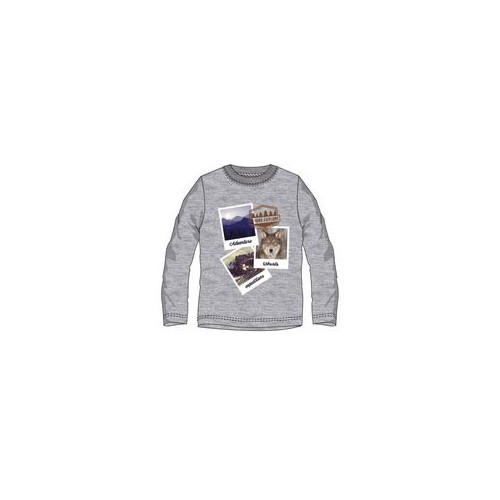 Ushuaia Pictures  Grey Men's Home T-shirt L