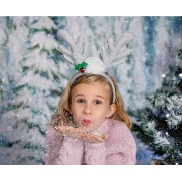 Silver Antler Headband