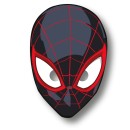 Spiderman World of Web mask, 6 pcs