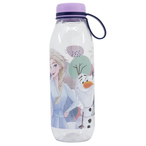 Disney Frozen Adventure Ecozen water bottle, sport bottle 650 ml