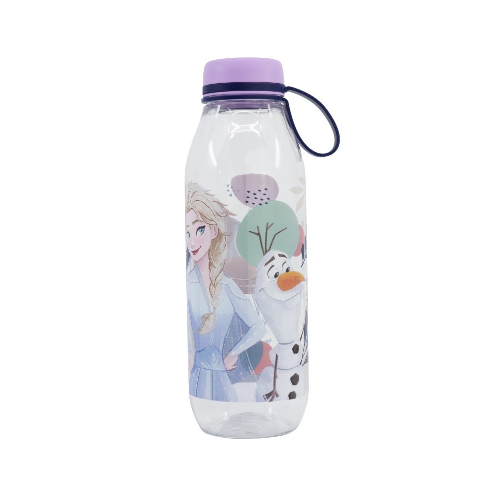 Disney Frozen Adventure Ecozen water bottle, sport bottle 650 ml