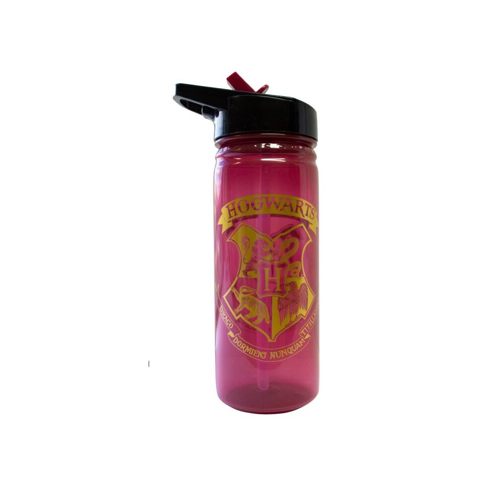 Harry Potter Claret bottle, sports bottle 600 ml