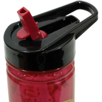 Harry Potter Claret bottle, sports bottle 600 ml