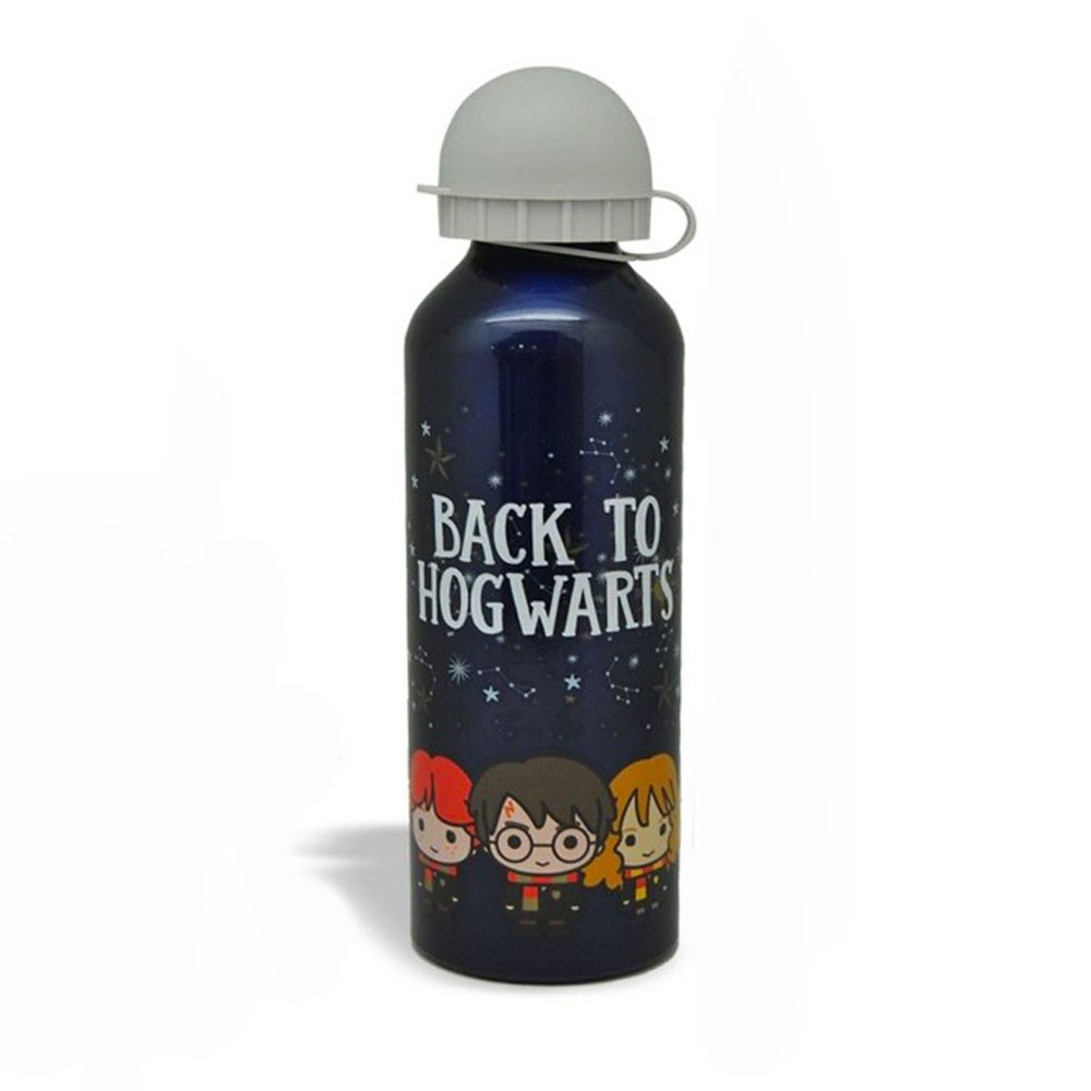 Harry Potter Friends aluminum bottle 500 ml