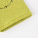 The Grinch Mischief wash mitt