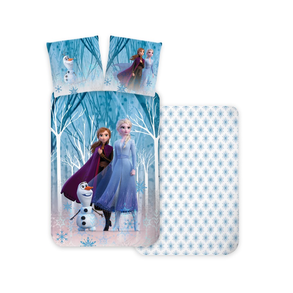 Disney Frozen Snowflakes bedding set 140×200cm, 70×90 cm