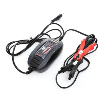 Chargeur de batterie 18 W 1 A 10-30 Ah