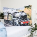 Train bedding cover 140×200cm, 70×90 cm