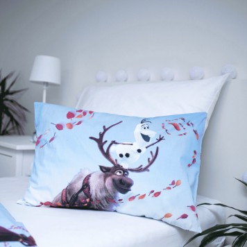 Disney Frozen Mystic children's duvet cover 100×135 cm, 40×60 cm