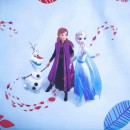Disney Frozen Mystic children's duvet cover 100×135 cm, 40×60 cm