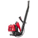 DMUCHAWA SPALINOWA PLECAKOWA DO LIŚCI ŚNIEGU 3,8KM RTODL0059