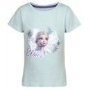 Disney Frozen kids short t-shirt, top 110/116 cm
