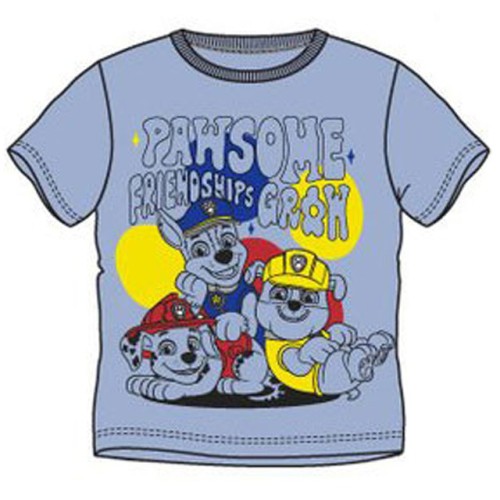 Paw Patrol Friendship Blue children's short T-shirt, top 6 years / 116 cm